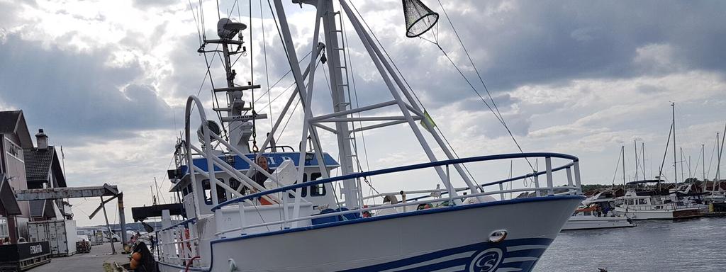 Forsøk med sollerist av plast montert i seksjon av diamantmasker om bord i «Eli R» i juli 217.