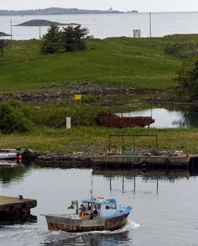 OMRÅDET HASSELØY Hasseløy er den nordligste av Haugesunds to sentrumsøyer, og er tilknyttet fastlandet med Hasseløybroa.