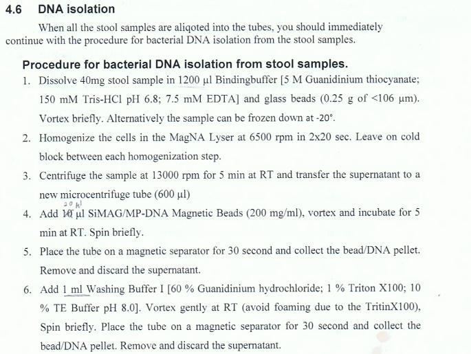 Stool Bacteria