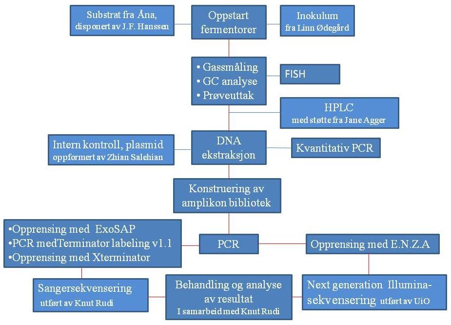 Materialer og metoder 2 Materialer og metoder 2.1 Rammene rundt prosjektet Hovedrammen for oppgaven var å kombinere mikrobiologisk og molekylære metoder.
