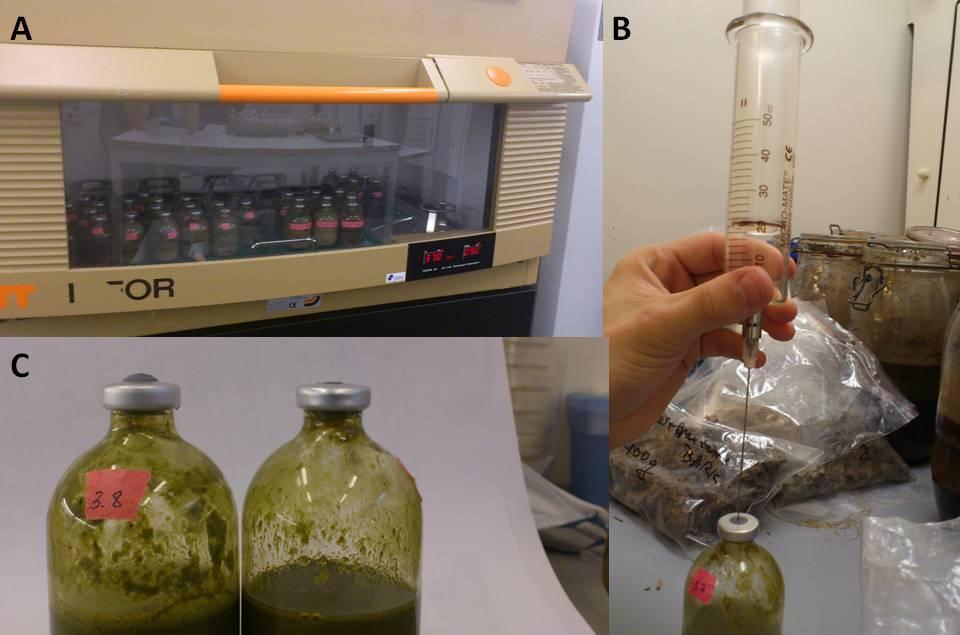 Materialer og metoder ble målt, og eksakt volum (60ml), målt opp i målesylindre og tømt over på 120 ml serumsflasker (Grace).