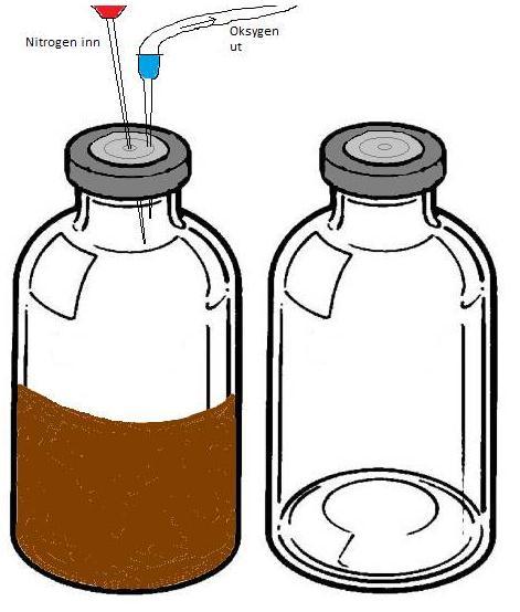 Materialer og metoder 2.2.4 Prøveuttak fra reaktorene Prøveuttak ble gjort av tre paralleller for hver blanding. Uttaket ble gjort ved 37 C, for å unngå undertrykk i flaskene og innsug av oksygen.