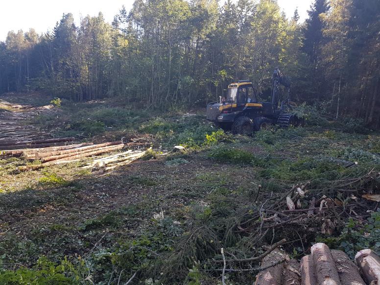 miljøhensyn ved hjelp av kart fra