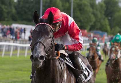 Åpent St Leger Silver Facon starter i Norsk St Leger, dagens andre løp. Årets St Leger er en ganske åpen affære.