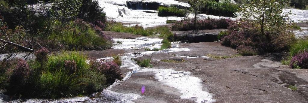 I Øyebekken ligger Jentehølen, som er et idyllisk sted med badeplass og rennende vann på svaberg. Rett syd for Jentehølen er det tegn etter gammel ferdselsveg, Hestevegen.