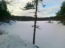 Figur 1.2. Vannbehanlingsanlegget ligger like nedenfor dammen. De øverste 50 m av Rusvikbekken er tørr, da hele avrenningen fra Rusviktjernet tas inn i vannverket.