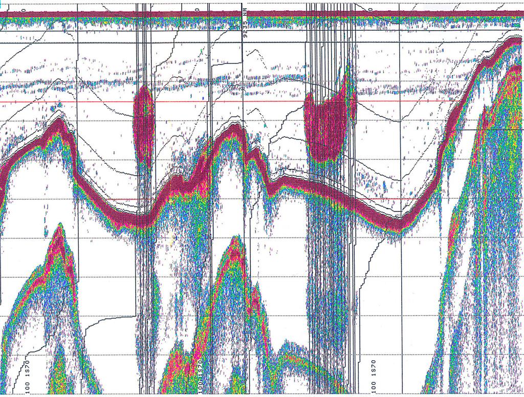 Fig 2. Ekkogram fra Breviksfjorden (utenfor kaiene i Brevik by) den 20. januar 2001 som viser to større sildestimer på 20-40 m dyp. Simrad EK 500, 38 KHz.