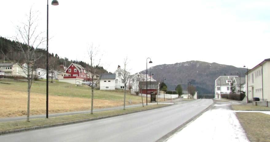 I dag er fjellsidene dekka av skog; i all hovudsak barskog.