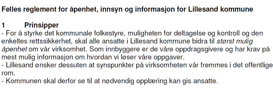 Informasjonsstrategi