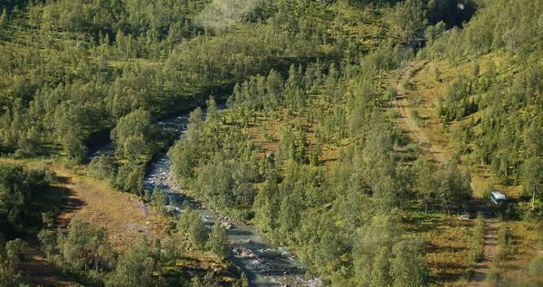 Nederst: Skogneselven midt på anadrom