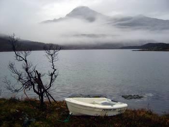 Nederst i Skogneselven er det lokalt et fiske etter sjørøye, og det taes årlig ut mellom 10 og 100 sjørøye i Skogneselven (pers. medd. Inge Skognes).