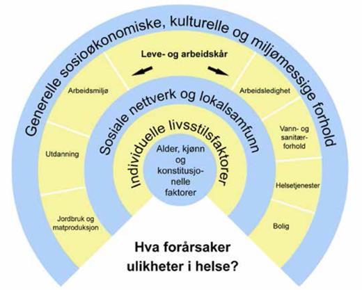 Bomiljøarbeid Tilrettelegging og fornyelse av boligområder Da må det planlegges for: Det fysiske miljø i og rundt der mennesker bor gjennom