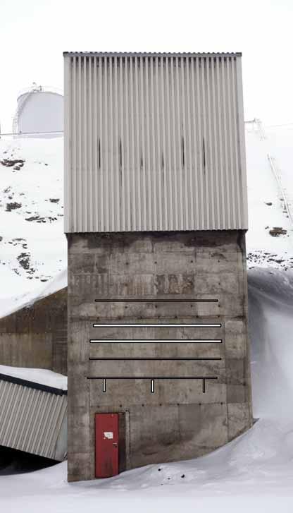 i nord. I Longyearbyen er mange av de tradisjonelle hekkeplassene til rødnebbternene blitt borte i Sjøområdet. Sjøkanten rundt utløpet av Longyearelva er et mye brukt turområde av folk.