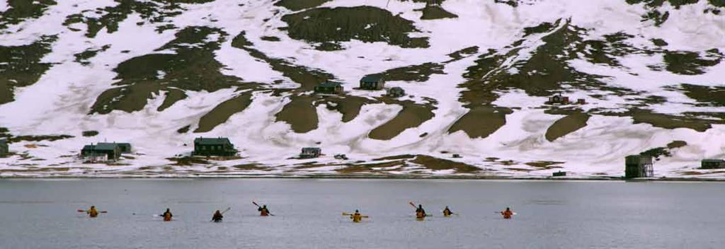 være. Ute på fjorden kan man relativt ofte se flokker med hvithval som svømme helt inn i