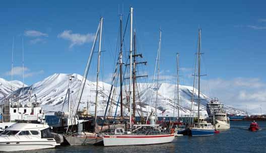 Polarmåkene er Svalbards rovfugler.