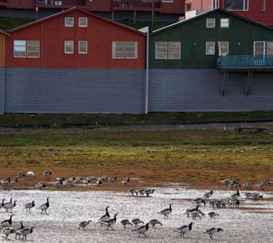 Stadig flere mennesker finner veien til LoFFhuset. Når været er fint sitter man på plattformen mot sjøen.