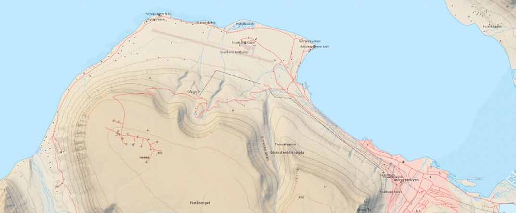 Alkekonge Bakgrunnskart Norsk Polarinstitutt Alkekongen (Alle alle) er den mest tallrike sjøfuglarten på Svalbard.