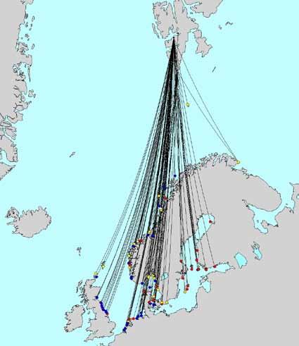 I Adventdeltaet har det vært utført et fargemerkingsprosjekt på fjæreplytt i regi av Longyearbyen Feltbiologiske Forening (LoFF).