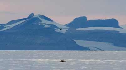 En del privatpersoner i Longyearbyen har også egne kajakker.