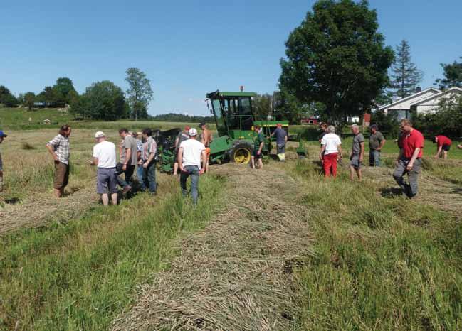 148 Aamlid, T.S. & Havstad, L.T. / Bioforsk FOKUS 7 (1) 2010 fortsatte forsøka med skårlegging av timotei og rødkløver i 2011 (bilde 3).