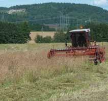 Havstad, L.T. et al. / Bioforsk FOKUS 7 (1) 181 a) b) c) Bilde 1. Knivbjelkeskårleggerne som ble brukt var en a) 12 fot Hesston selvgående rapshogger i Vestfold og b) 6 fot Tive SVA på Landvik.