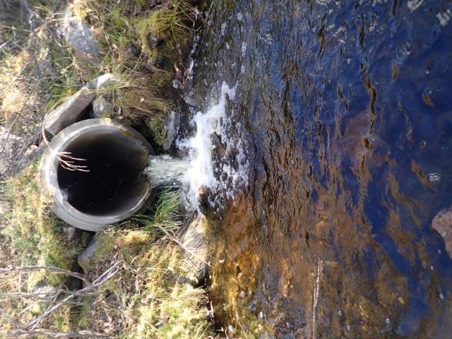 Bilder fra prøvefisket i september, fra Stangnes (venstre) og garntrekk ved Vagge (høyre) (foto: Narve S.