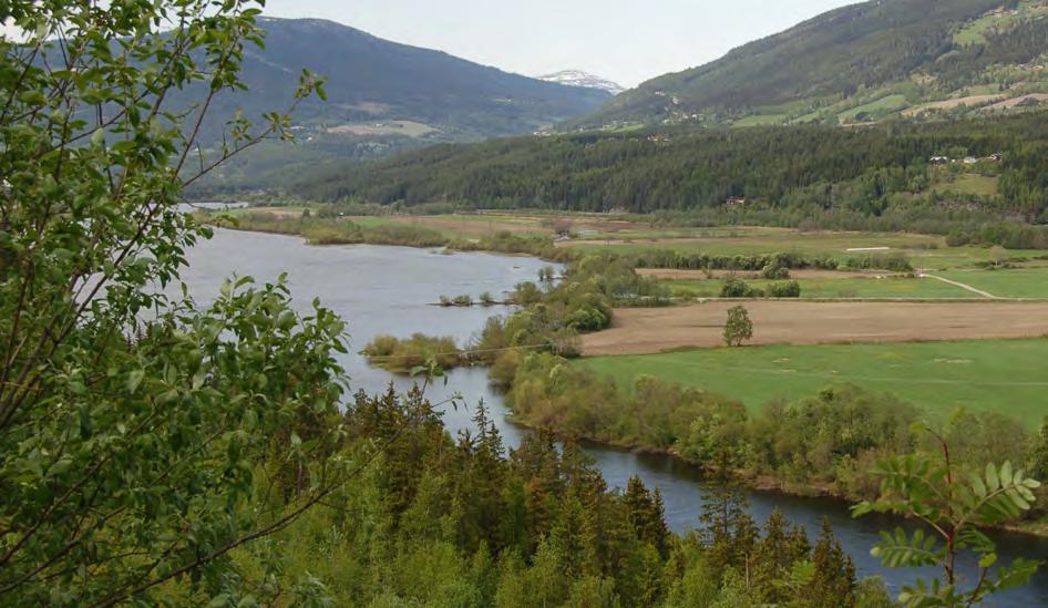 Verdi, omfang og konsekvens Figur 5.10: Elveløpet er kantet med et sammenhengende belte av frodig kantvegetasjon. Figur 5.11: Kroksjø sør for Vålebru tilfører landskapet gode visuelle kvaliteter 5.