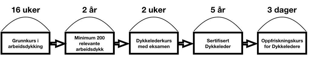 Kommentarer til rbeidstilsynets Tillater man dykkelederkurs som en del av grunnutdanningen for dykkere vil man ikke oppnå hensikten bak skjerping av kravene til kompetansenivå hos dykkeledere.