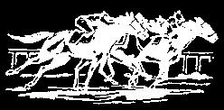 n8v5a-4 ØVREVOLL CHAMPION HURDLE 3730 hæ 93500-46750 - 22440-14960 - 9350 15.55 Banerek:4.13,2 - Barros Jarpa (IRE), v 5, 70 kg, 09-09-27 For 4-årige og eldre hester.