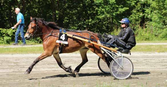 9 10 11 12 2017: 1-0 -0-0 -0-41.1v -0 2016: 0-0 -0-0 -0-0 Hovsten Frøkna 9 41,1m 0 5 år Brun HP v. Hovstein Friggen e. Blili Frøkna v. Braute Arvid M. Hovstein /Leinstrand Thomas Mjøen (A) - Arvid M.