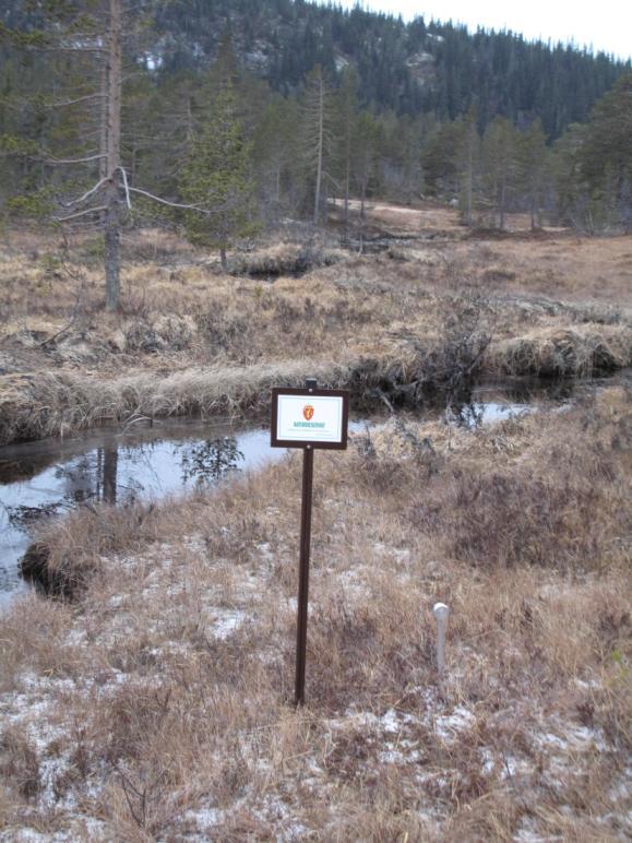 Også i år er det vellykket hekking med to unger i reiret. I tillegg er det registrert to reir til i eller tilknytning verneområdet.