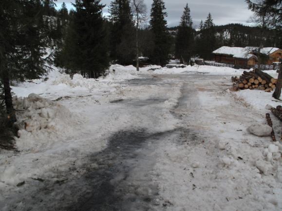 Det ble i den sammenheng bestilt et oppdrag på å komme i gang med rydding og skjøtsel på denne setervollen med tanke på å fremme denne arten.