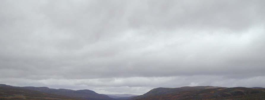 42 Det frodige og grønne er en kontrast til det grå, uvegeterte fjellet. Vegetasjon har generelt stor betydning i landskapet i Finnmark.