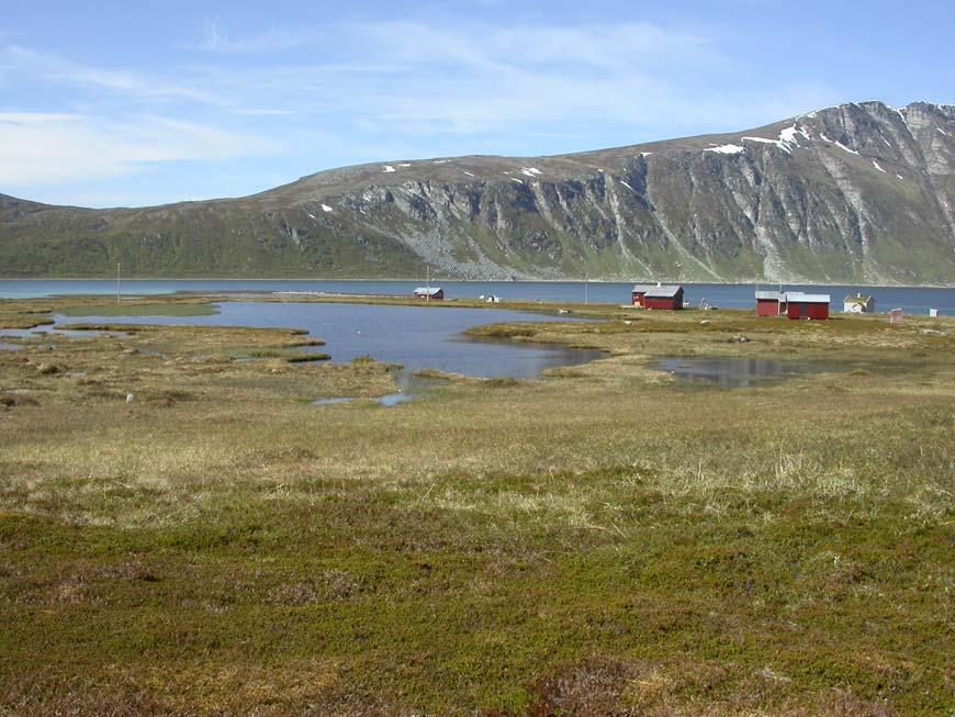 nina oppdragsmelding 857 3 Beskrivelse og vurdering av enkeltområder 3.1 Område 1: Langørsvannet Figur 2: Langørsvannet sett fra sørøst. Foto: Karl-Otto Jacobsen. 3.1.1 Områdebeskrivelse Delområdet består i hovedsak av Langørsvannet som er et lite og grunt vatn som ligger ca.