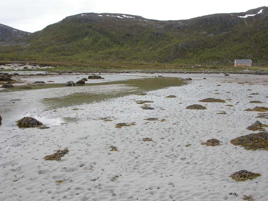 nina oppdragsmelding 857-3.5.1 Områdebeskrivelse Delområdet består av en flat og langstrakt holme utenfor utløpet av Skipsfjordelva.