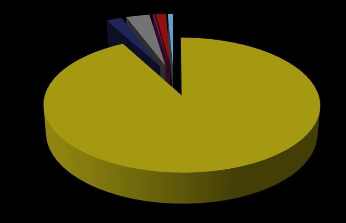 Einebustad 92% Tomannsbustad 2,2% Rekkehus 3,3% Bustadblokk 0,2% Bufellesskap 1,4% Andre byggetypar 0,7% Figur 4.