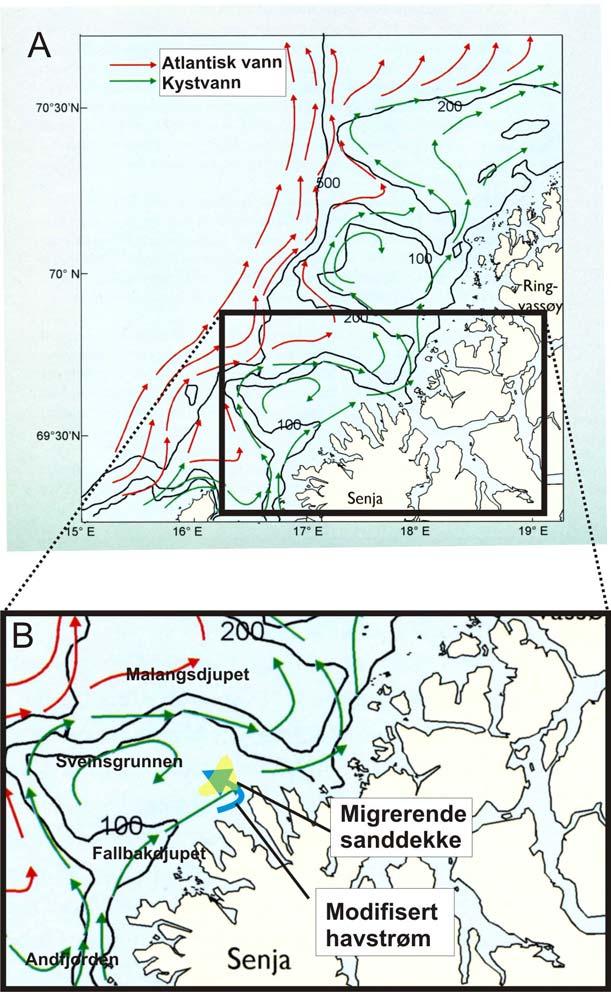 Diskusjon Kapittel 6 Figur 6-24: A: Havstrømmer i de øvre vannlagene mellom 69 N og 71 N gjennom en typisk vinter. B innrammet. Figuren er modifisert fra Sætre et al. (2007).