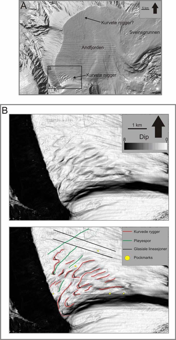 Geomorfologi Kapittel 4 Figur 4-8: A: Skyggerelieffkart over ytre deler av Andfjorden. Kurvete rygger er fremtredende på den sørlige flanken av trauet.