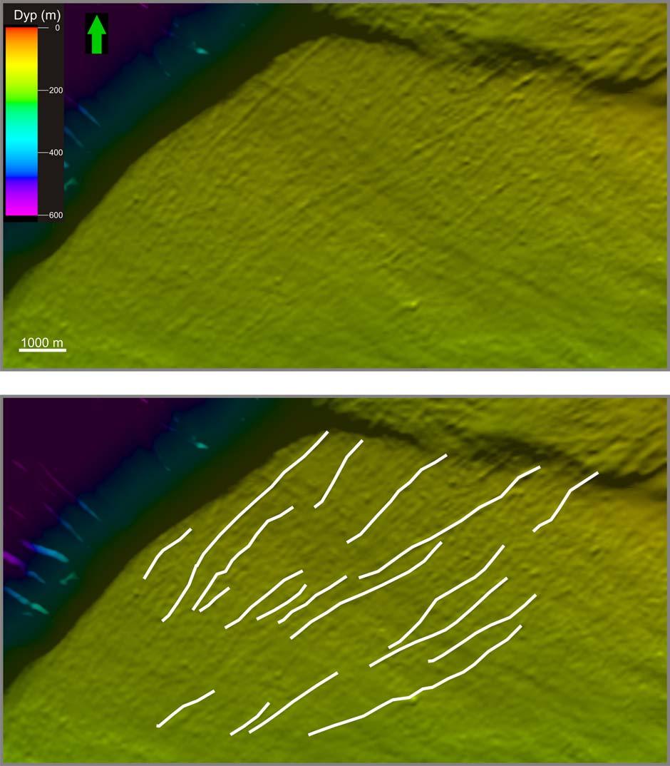 Geomorfologi Kapittel 4 Figur 4-16: Forstørret del av nordlige Malangsdjupet (se Figur 4-15 for lokalisering). Pløyesporene har her en overordnet orientering som er NØ-SV.