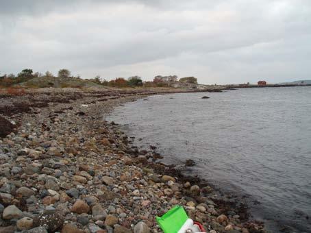 2 3 1 Figur 21. Stråholmen Ueksponert eller ubetydelig eksponert strand.