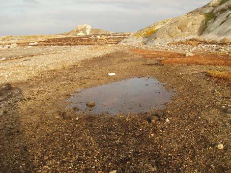 Figur 23. Stråholmen Oljeksponert strand. Bildet viser område der prøver fra fjære ble tatt.