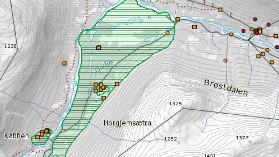 Transporten vil måtte skje frå vernegrensa ved Sjugurdgarden og langs bilvegen til Kabben, sjå figur 1. Sjugurdgarden Figur 1. Kartutsnitt, Brøstdalen frå Sjugurdgarden- Kabben.