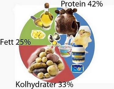 Frisk fase: Kroppen får energi fra fett, karbohydrat og redusert protein gjennom maten vi spiser