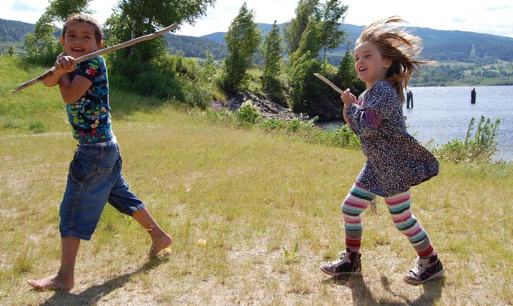 Høgskolen i Sørøst-Norge Campus Notodden og Porsgrunn Praksisplan