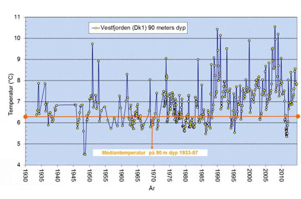 Temperaturutvikling i fjorden Temperaturutvikling de siste 4 år ved 90 meters vanndyp i stasjon DK1 (Vestfjorden) og 80 meters vanndyp i stasjon Ep1