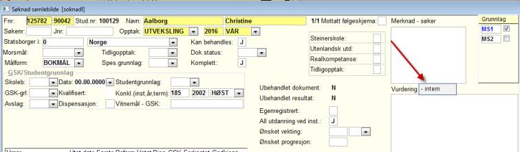 informasjon som gjelder søknaden(e) som for