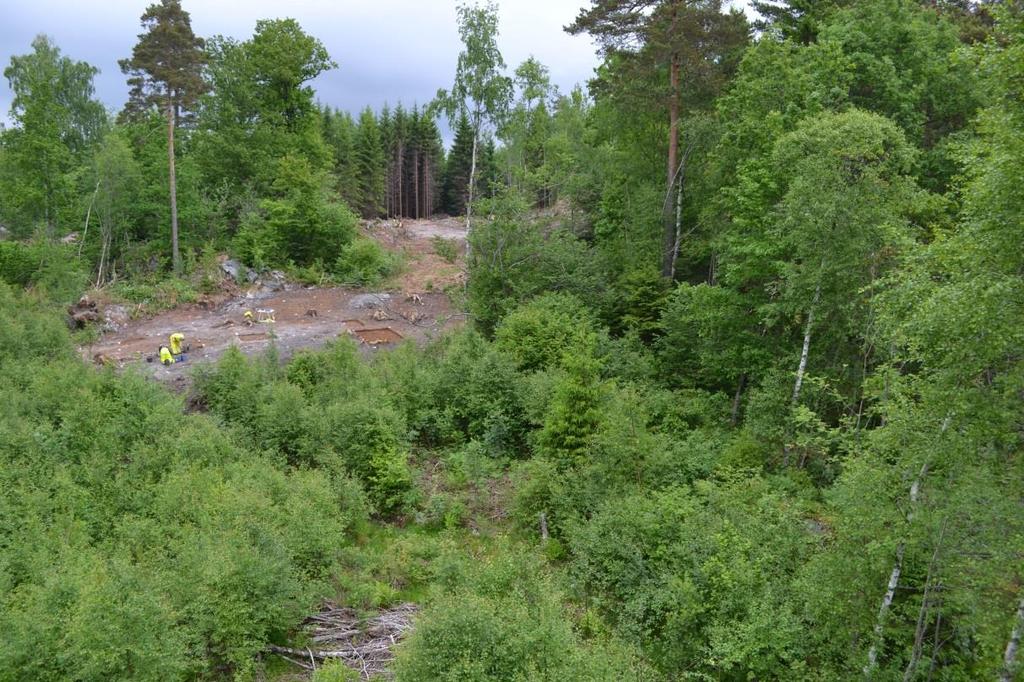 OSLO FORNMINNESEKSJONEN Postboks 6762, St.