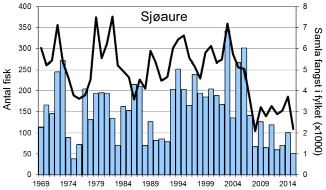 Sidan gjenopninga i 2003 har det vore ein tendens til aukande fangstar av laks, men fangsten i 2015 (24 laks, snittvekt 4,7 kg) er av dei lågaste sidan 1990-talet (figur 1, stolpar).