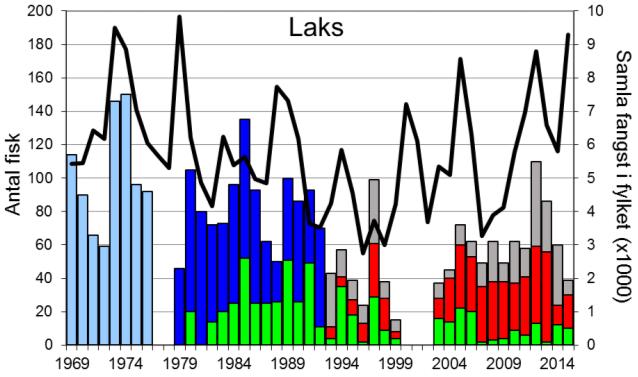 Skjel 2015 FANGST OG SKJELPRØVAR I OLDENELVA Fangststatistikk I perioden 1969-2015 var gjennomsnittleg årsfangst 73 laks (snittvekt 6,6 kg) og 150 sjøaure (snittvekt 1,7 kg).