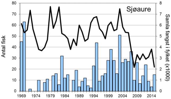 Skjell 2015 FANGST OG SKJELPRØVAR I RYGGELVA Fangststatistikk I perioden 1969-2015 var gjennomsnittleg årsfangst 34 laks og 19 sjøaurar, i 2015 vart det fanga 55 laks (snittvekt 2,8 kg) og 15 sjøaure